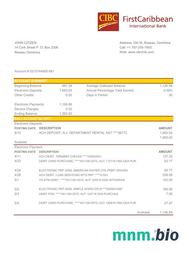 Szablon wyciągu z banku Dominica Barnett Capital w formacie Word i PDF